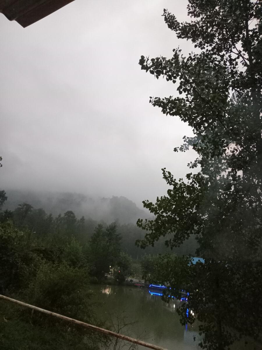 کلبه جنگلی سوادکوه تک خوابه در لفور