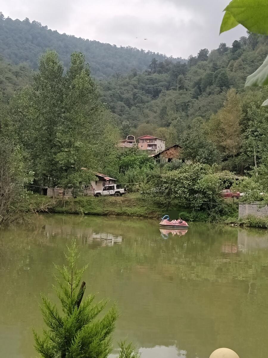 کلبه جنگلی سوادکوه تک خوابه در لفور