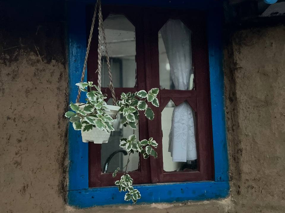 دنج جنگلی روستای با صدای پرندگان و لب رودخانه